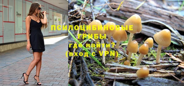 крисы Аркадак